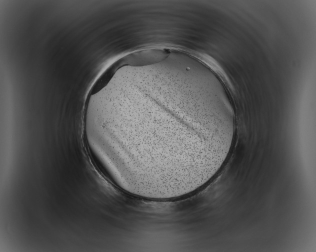 X0000086971244200705071350