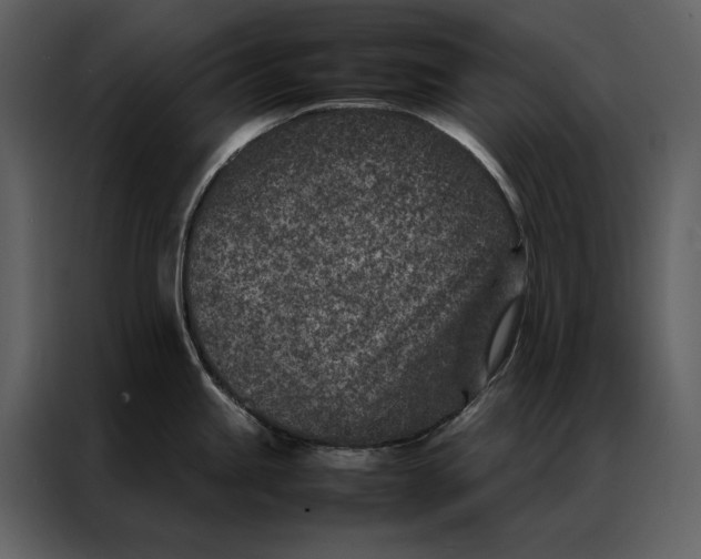 X0000086971245200705071350