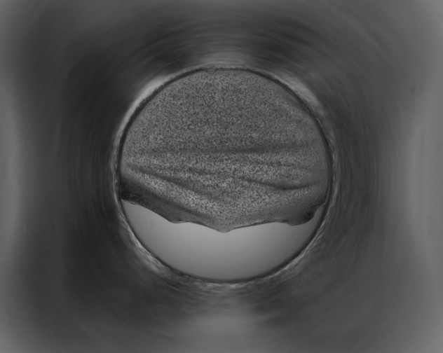 X0000086971248200705071350