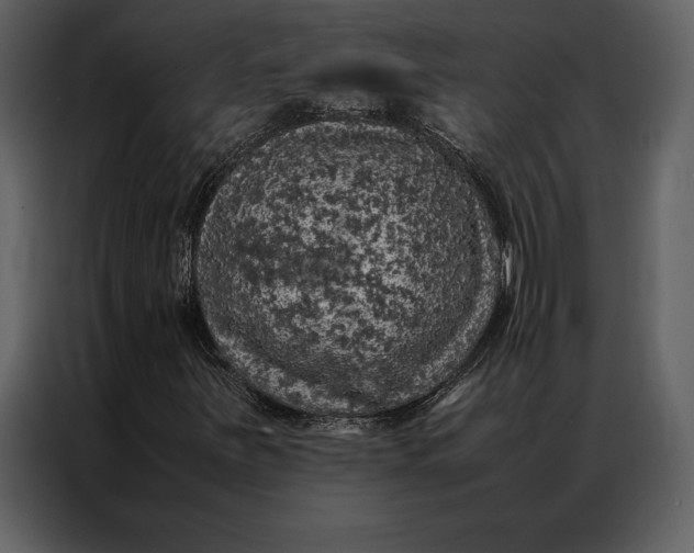 X0000086971251200705071350