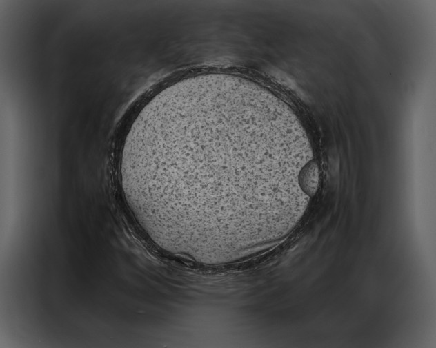 X0000086971256200705071349