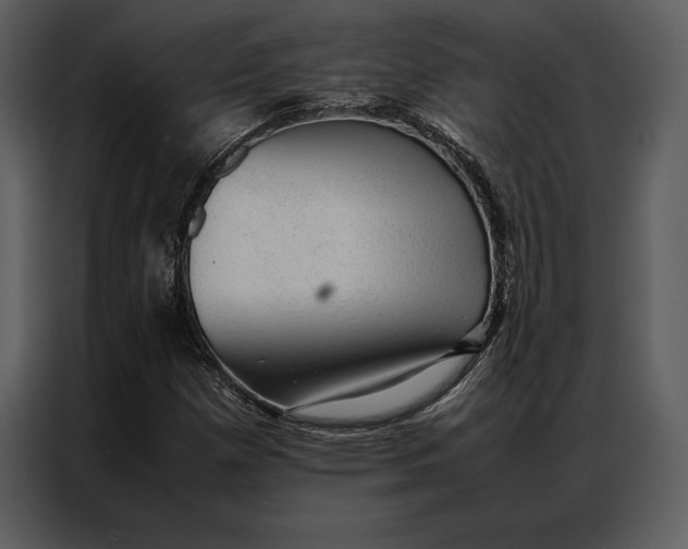 X0000086971257200705071349