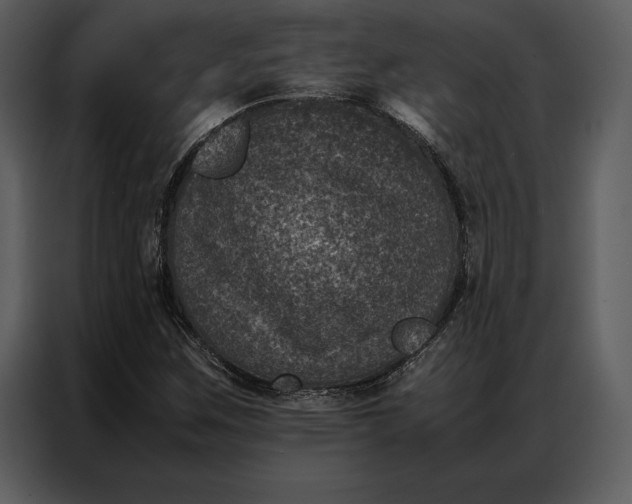 X0000086971259200705071349