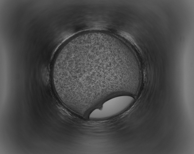 X0000086971260200705071349