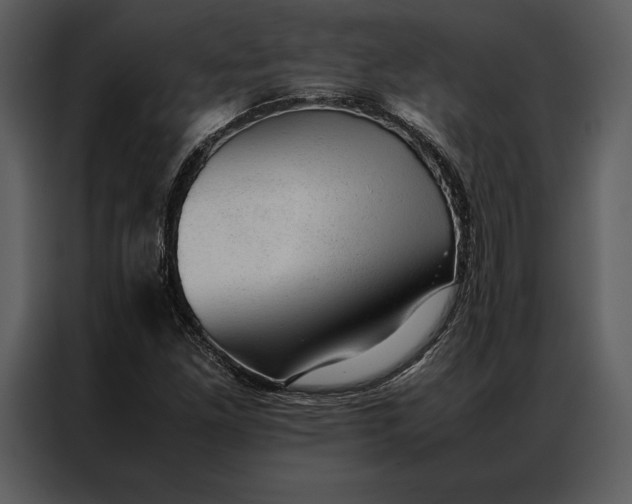 X0000086971261200705071349