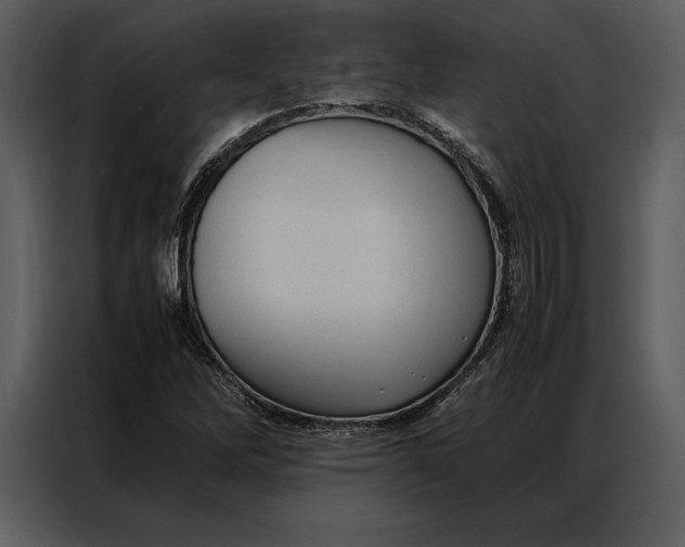 X0000086971262200705071349