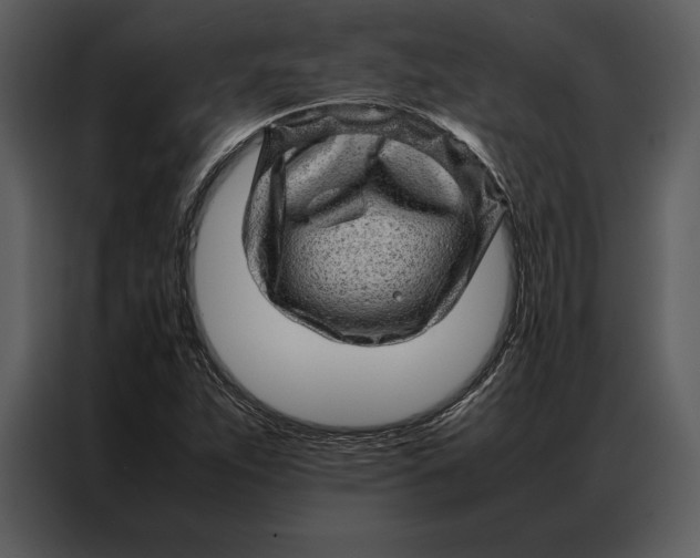 X0000086971263200705071349