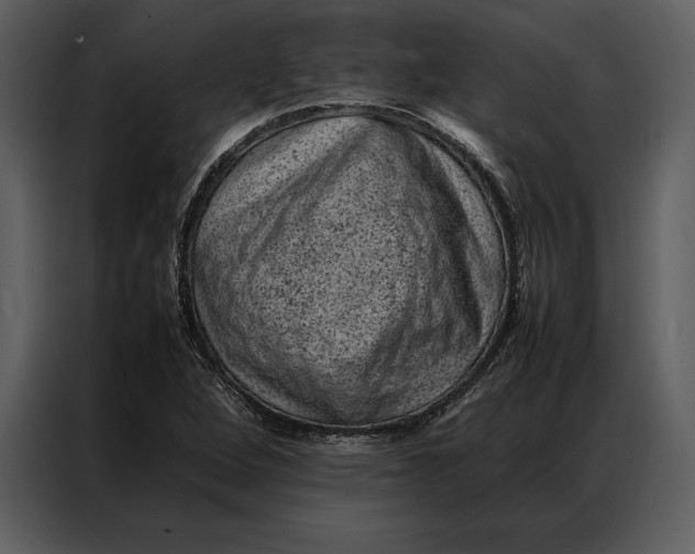 X0000086971264200705071349