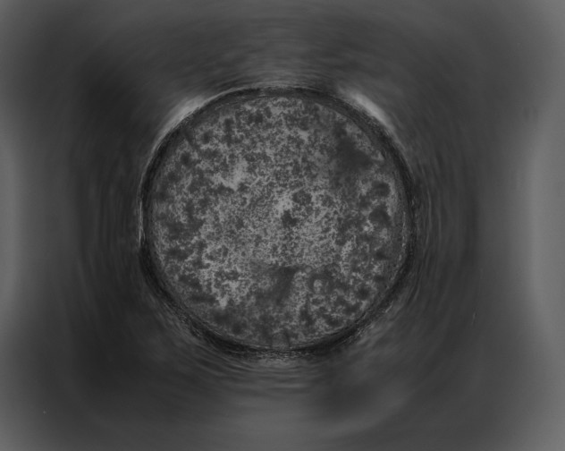 X0000086971267200705071349