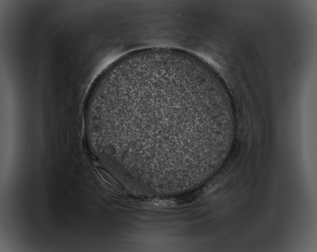 X0000086971271200705071349