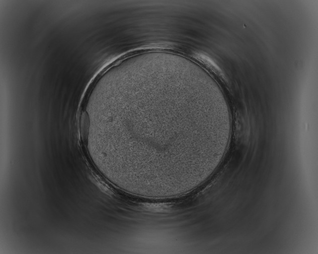 X0000086971276200705071349