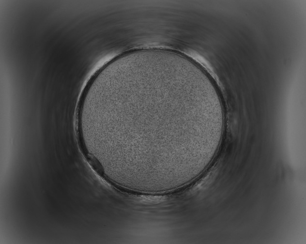 X0000086971285200705071349