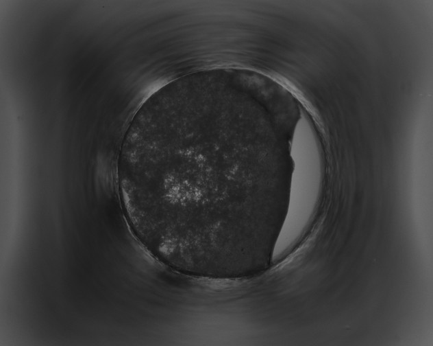 X0000086971289200705071349