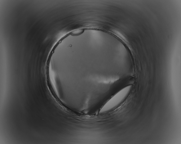 X0000086971291200705071349