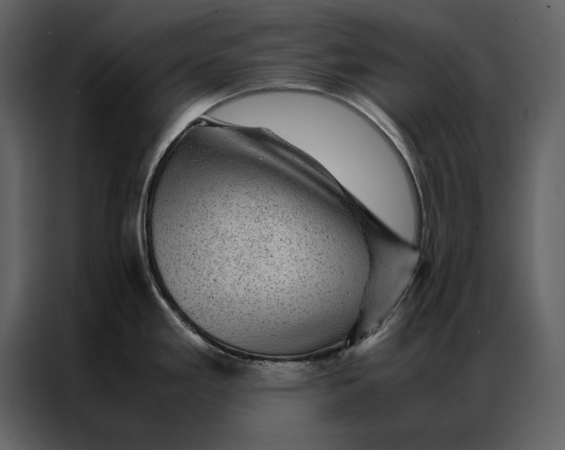 X0000086971293200705071349