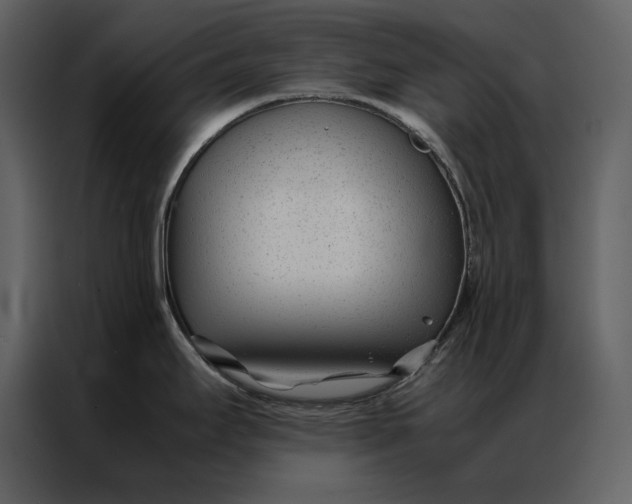 X0000086971295200705071349