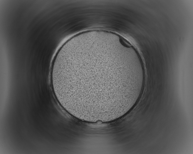 X0000086971296200705071349