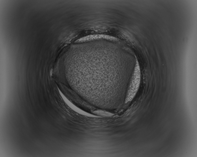 X0000086971298200705071348