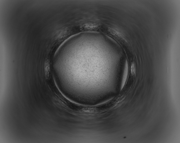 X0000086971299200705071348