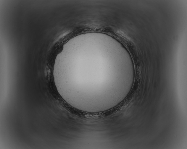 X0000086971302200705071348