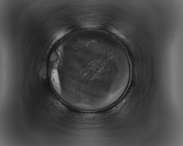 X0000086971306200705071348