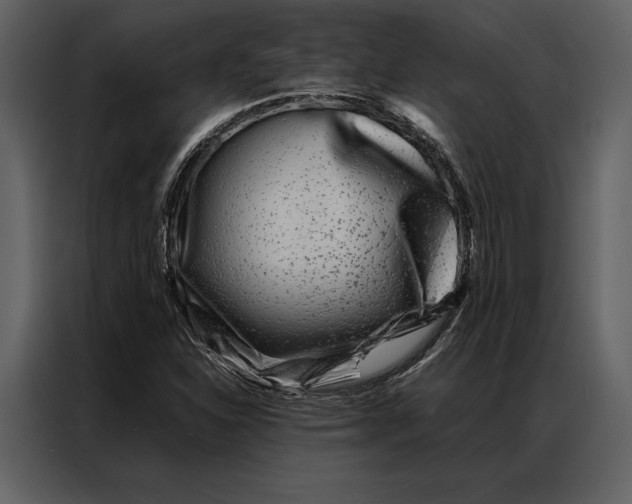 X0000086971310200705071348