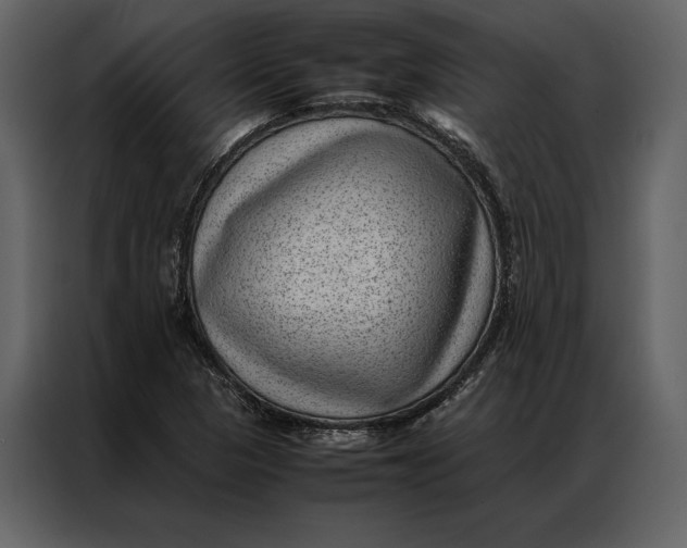 X0000086971313200705071348