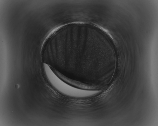 X0000086971319200705071348