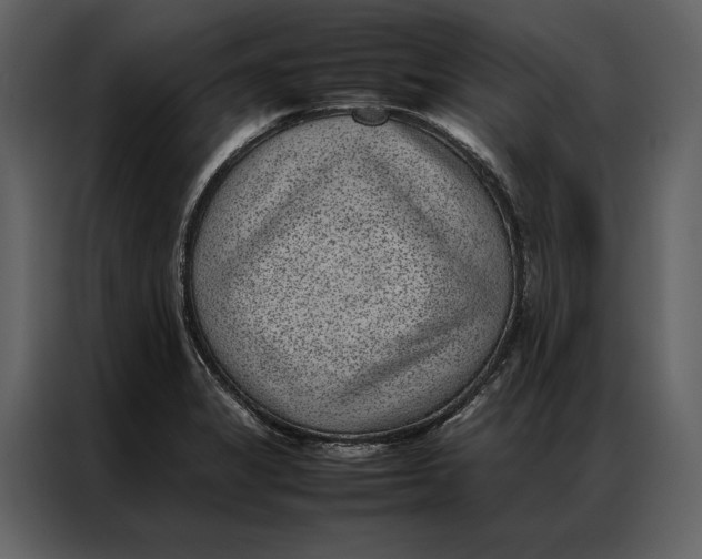 X0000086971325200705071349