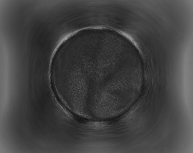 X0000086971327200705071349