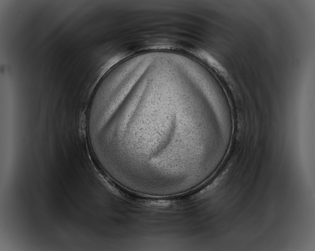 X0000086971329200705071349