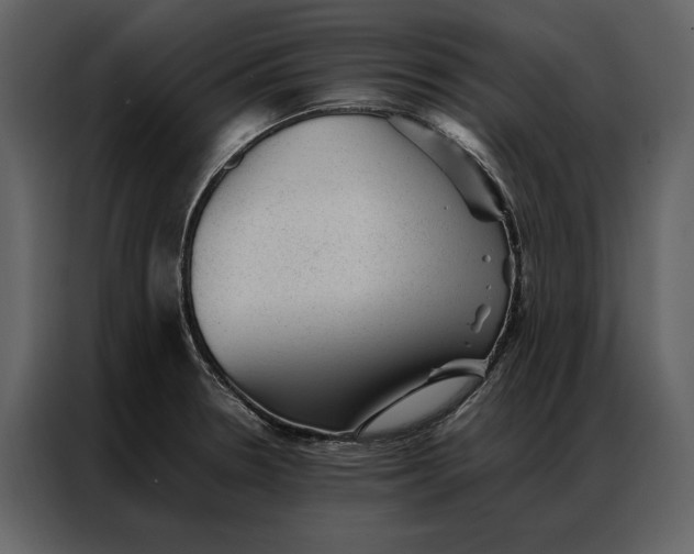 X0000086971330200705071349