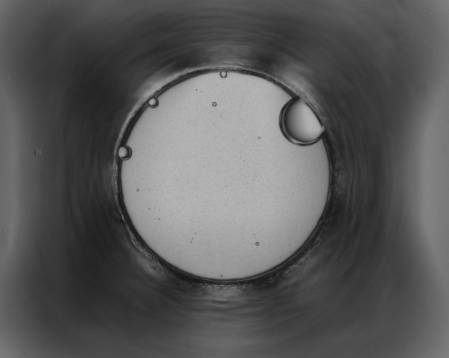 X0000086971332200705071349