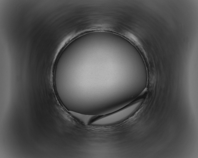 X0000086971336200705071349