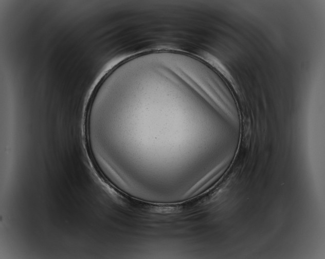 X0000086971339200705071349