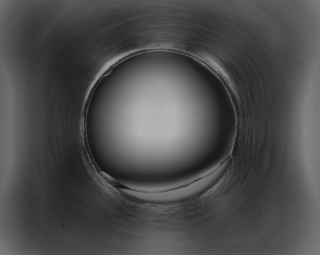 X0000086971340200705071349