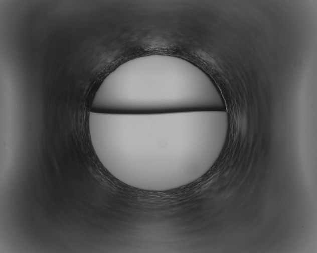 X0000086971348200705071348