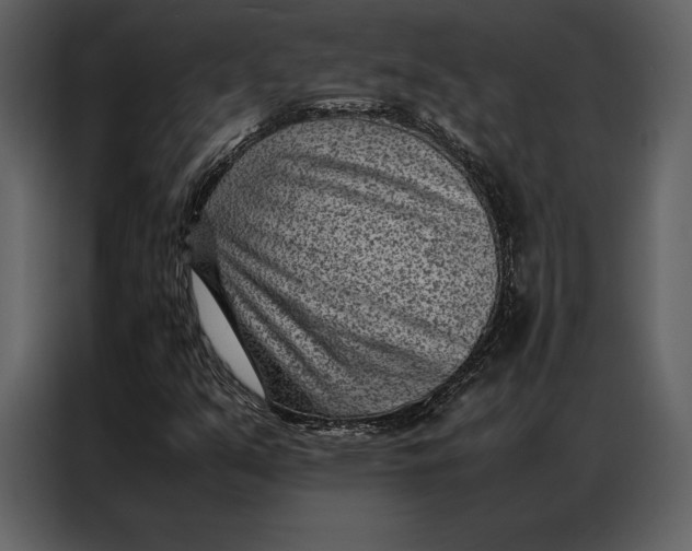 X0000086971351200705071348