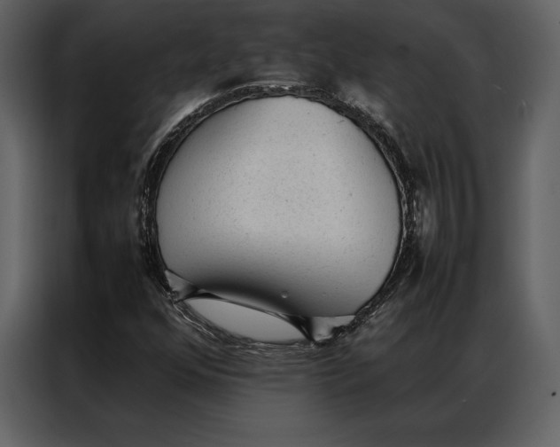 X0000086971352200705071348