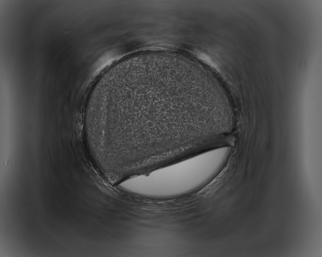 X0000086971355200705071348