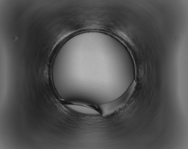 X0000086971356200705071348