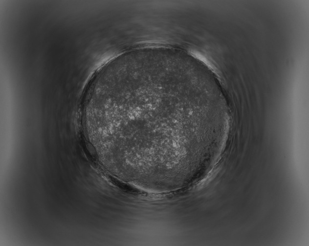 X0000086971357200705071348