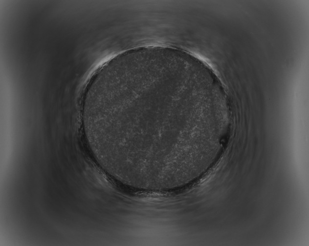 X0000086971359200705071348