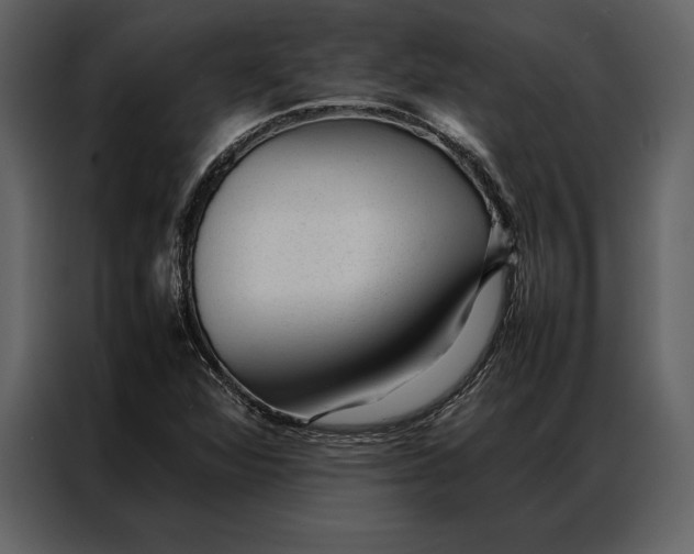 X0000086971360200705071348