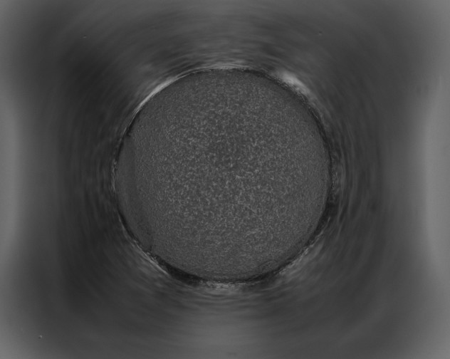 X0000086971361200705071348