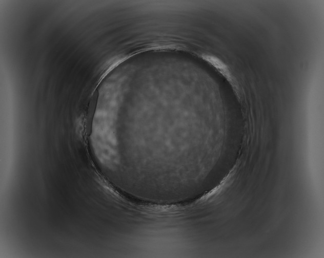 X0000086971369200705071348