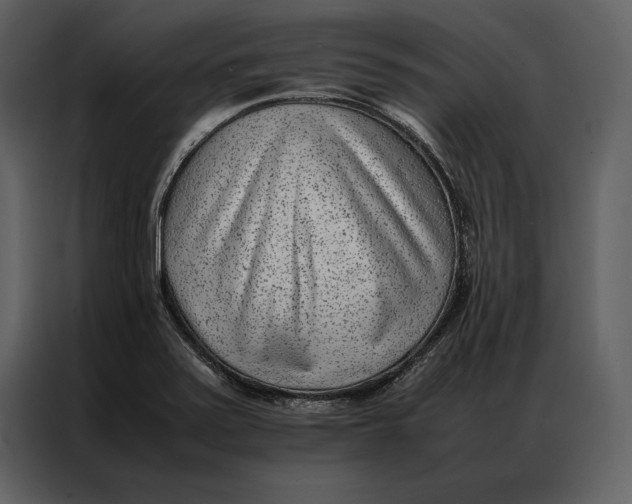 X0000086971371200705071348