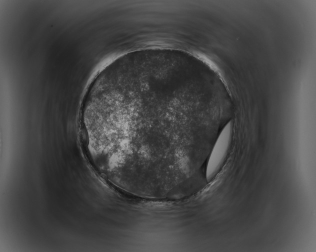 X0000086971373200705071348