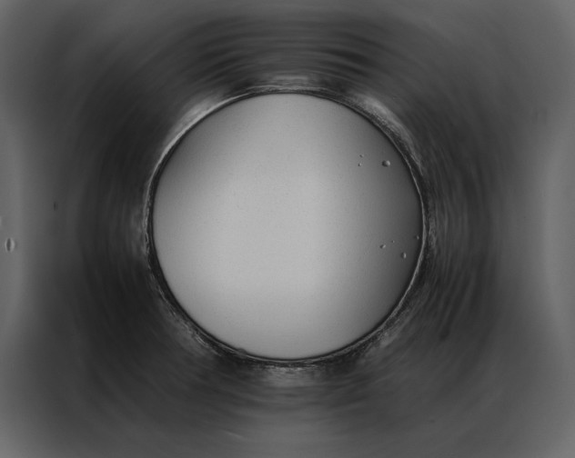 X0000086971378200705071348