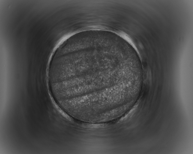 X0000086971381200705071348